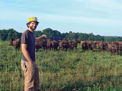 How Can Farmers Diversify? Image